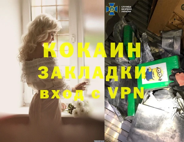 прущие грибы Балабаново