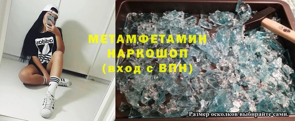 прущие грибы Балабаново