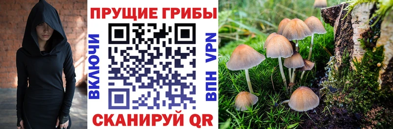 Псилоцибиновые грибы Magic Shrooms  цены наркотик  Сертолово 